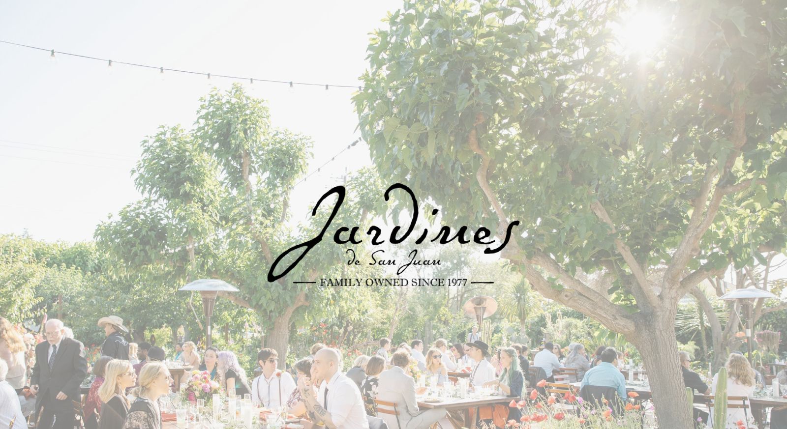 WhatsApp Image 2025-08-14 at 11.39.26-2