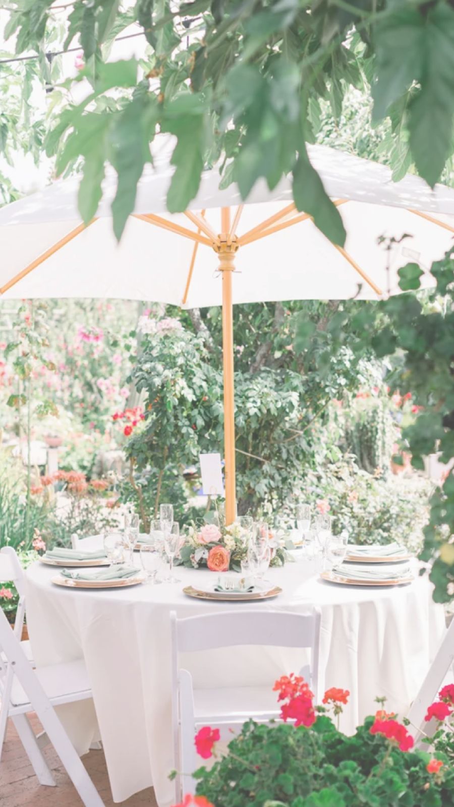 WhatsApp Image 2025-08-14 at 11.39.26