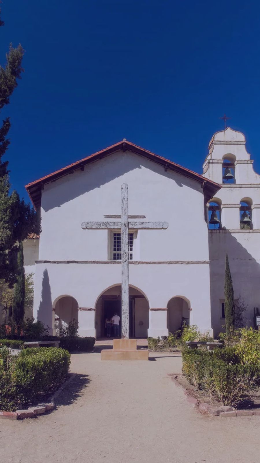 WhatsApp Image 2025-08-14 at 12.27.13-2