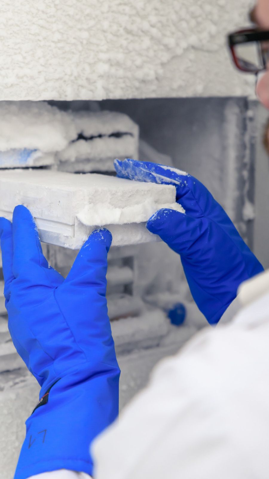 WhatsApp Image 2025-08-14 at 13.04.03-2