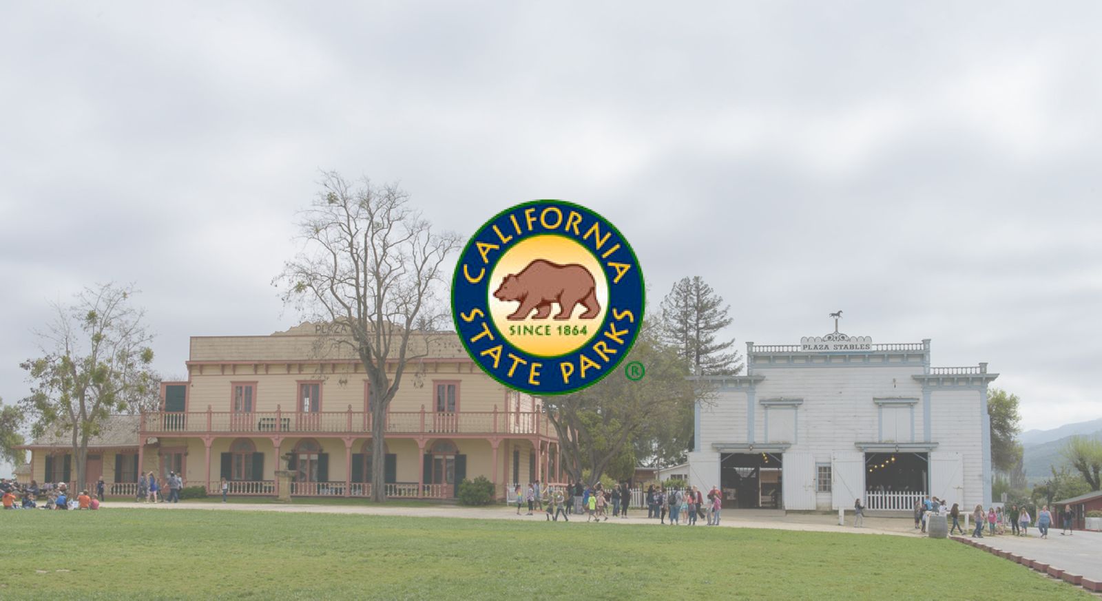 WhatsApp Image 2025-08-14 at 13.46.04