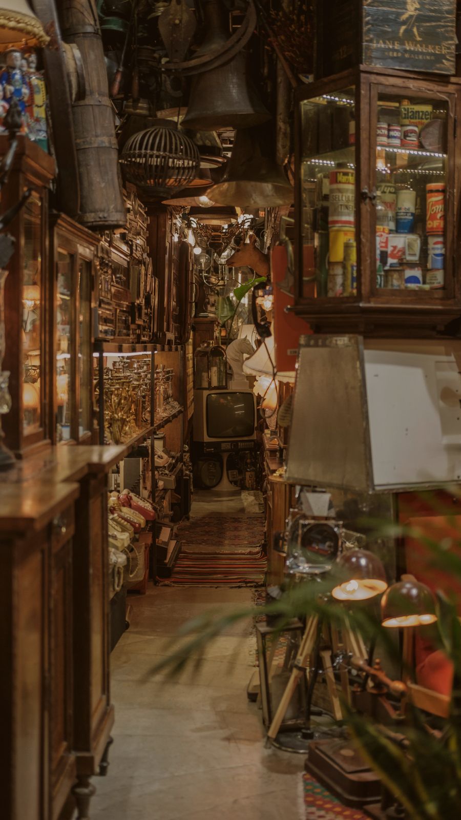 WhatsApp Image 2025-08-14 at 14.29.45